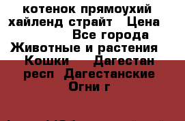 котенок прямоухий  хайленд страйт › Цена ­ 10 000 - Все города Животные и растения » Кошки   . Дагестан респ.,Дагестанские Огни г.